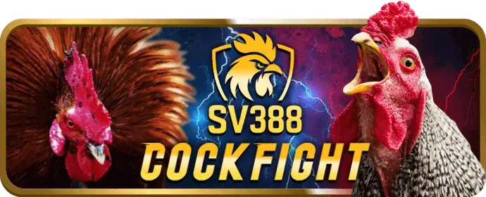 Dealer chia bài Blackjack tại Cwin99